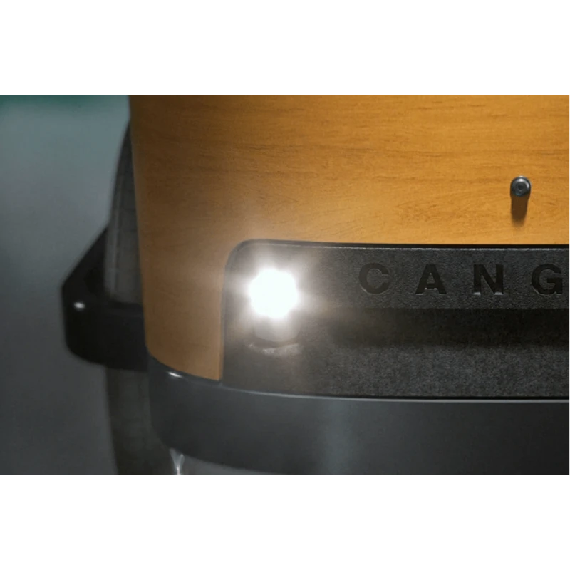 Cangoo Buckle Up 6